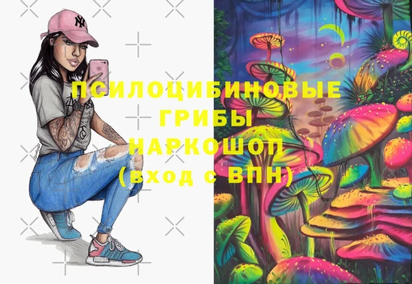 твердый Алзамай